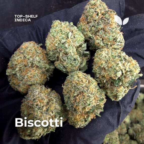 biscotti strain cannabis phuket delivery