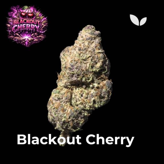 Blackout Cherry strain phuket weed delivery