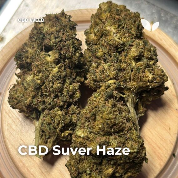 CBD weed Suver Haze strain phuket delivery