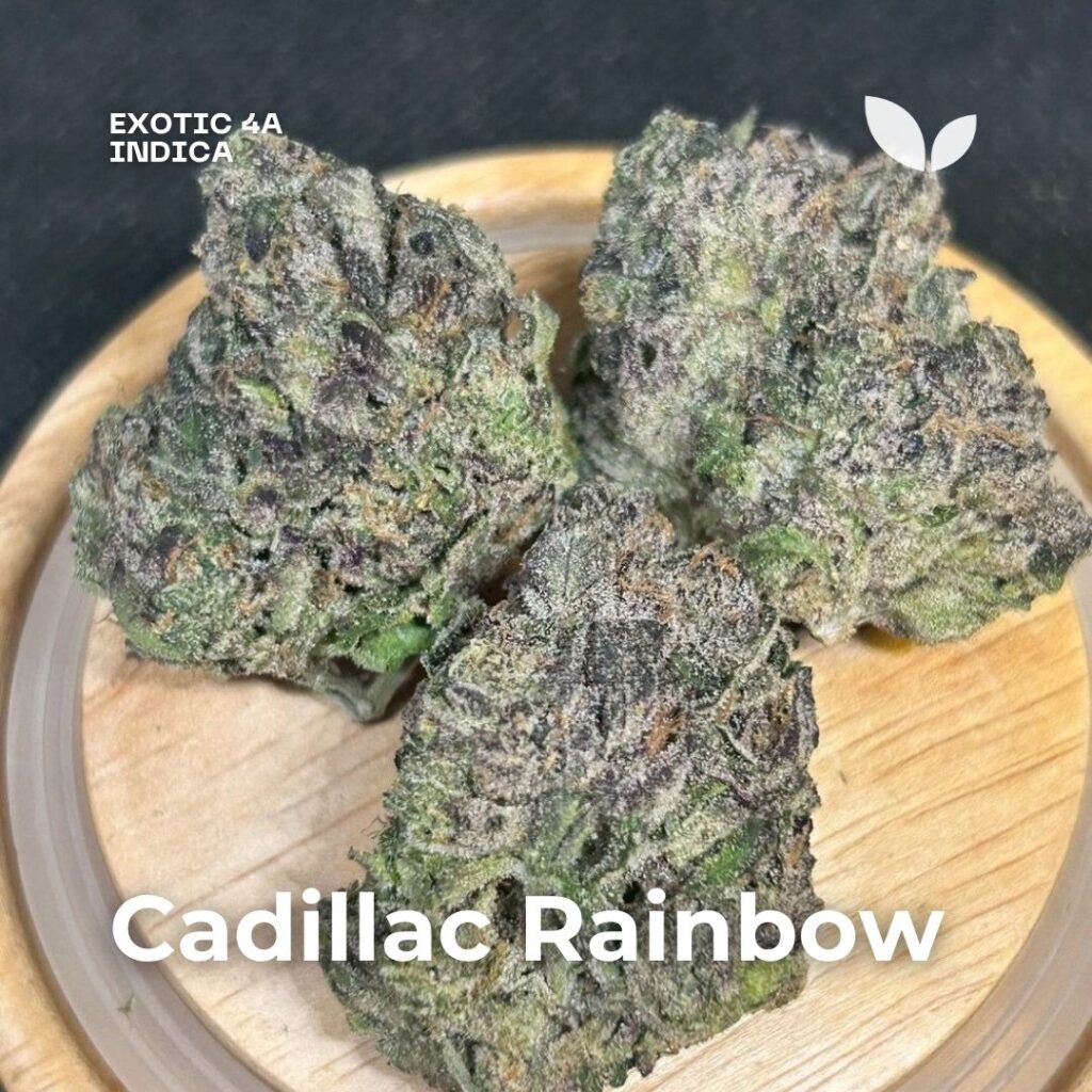 Cadillac Rainbow weed 4a exotic phuket Cadillac Rainbow weed 4a exotic phuket
