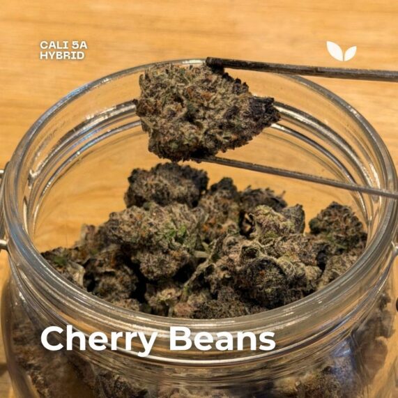 Cherry Beans cannabis strain delivery phuket
