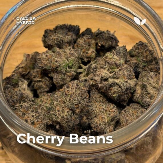 Cherry beans cali strain Cherry beans cali strain phuket delivery
