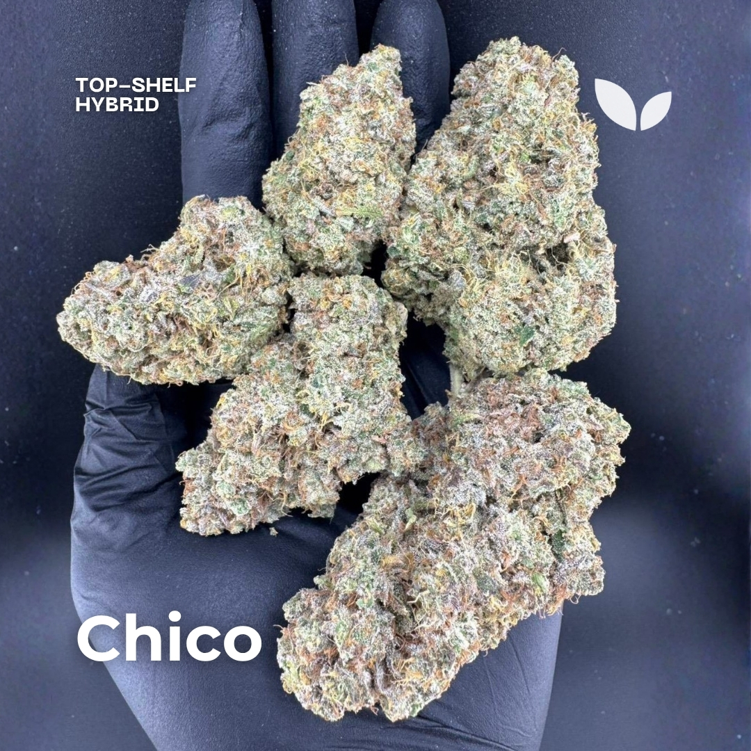 Chico weed strain Chico weed strain