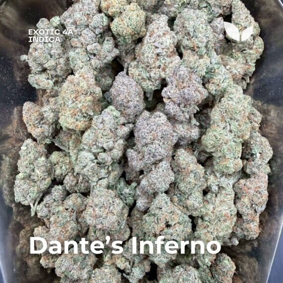 Dante's Inferno indica strain phuket delivery