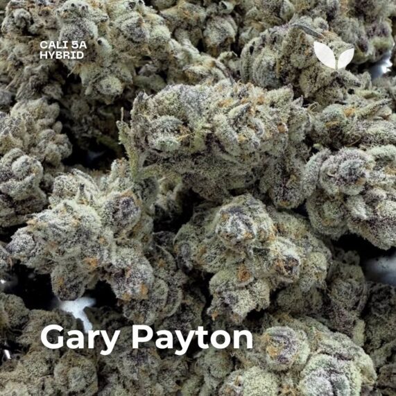 Gary payton x Mac 1 cali weed phuket delivery