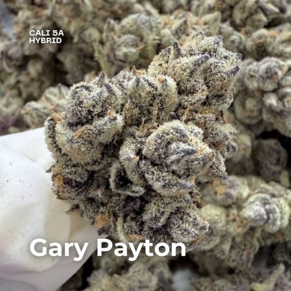 Gary payton cali weed phuket strain with delivery