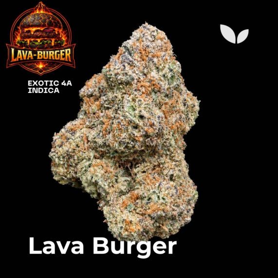 Lava Burger indica weed strain delivery phuket