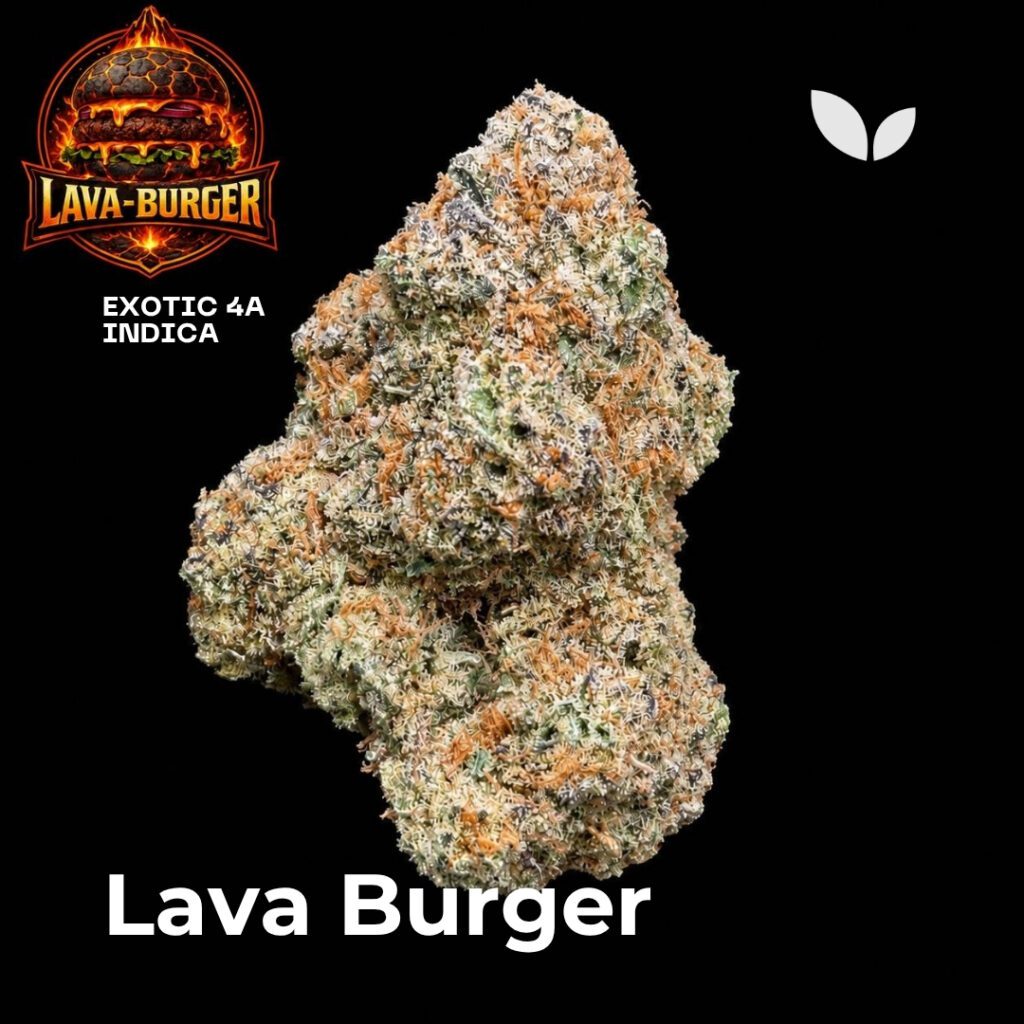 Lava Burger indica weed strain Lava Burger indica weed strain