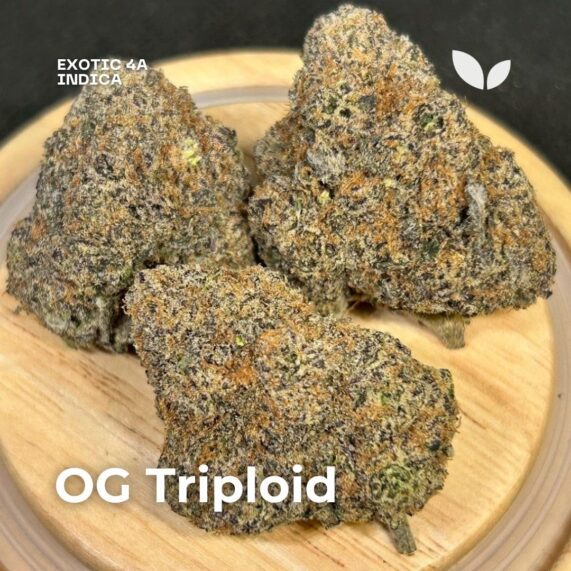 OG Triploid weed 4a exotic phuket