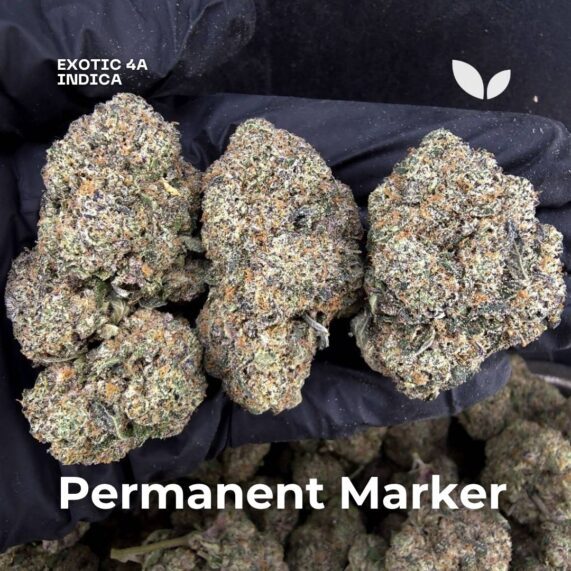 Permanent Marker strain weed delivery phuket