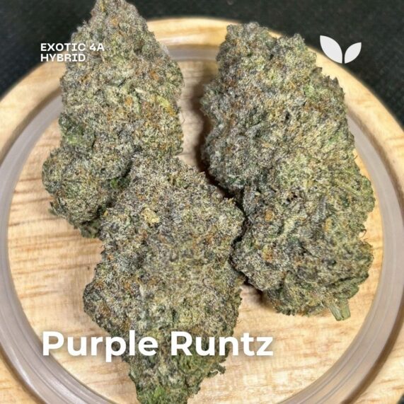 Purple Runtz weed 4a exotic phuket delivery hybrid