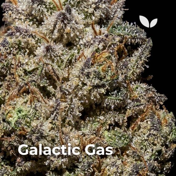 galactic gas weed delivery phuket