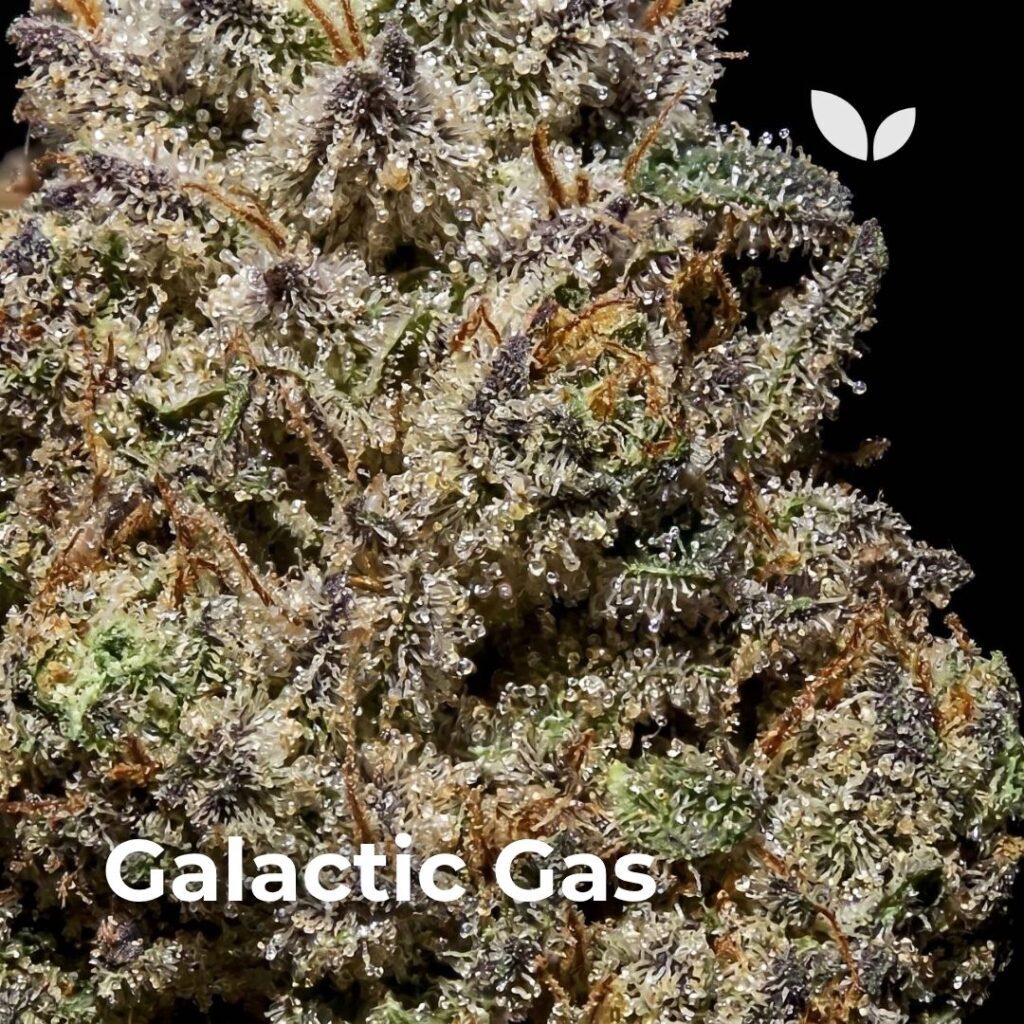 galactic gas galactic gas