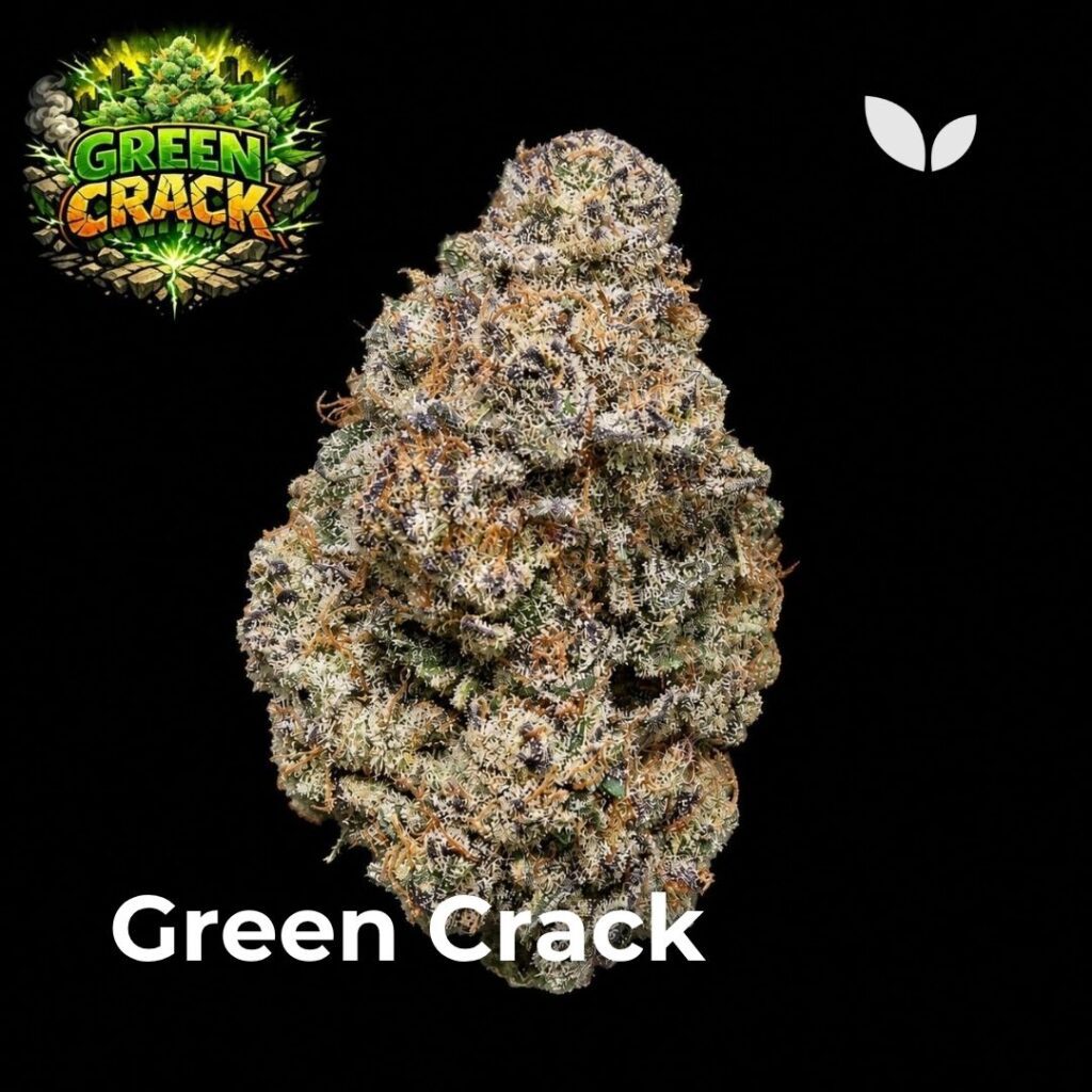 green crack strain weed 2 green crack strain weed 2