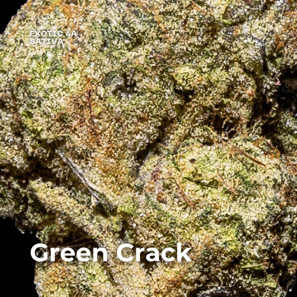 green crack strain weed green crack strain weed