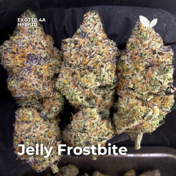 jelly frostbite weed strain delivery phuket