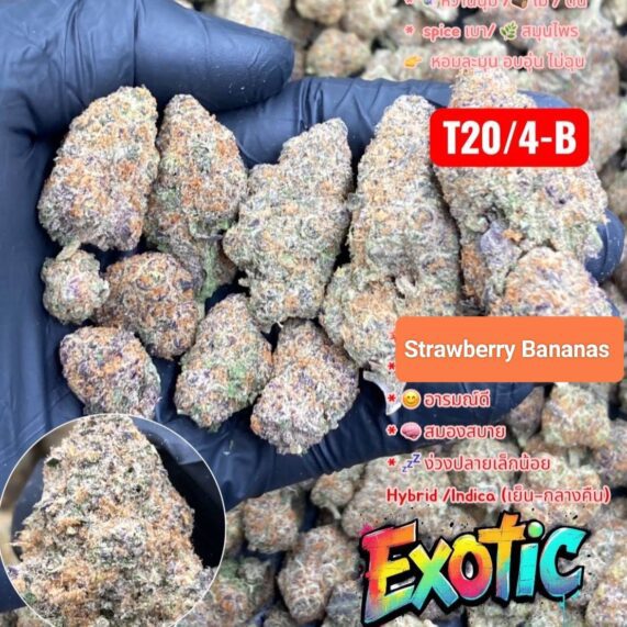 strawberry banana strain weed phuket delivery