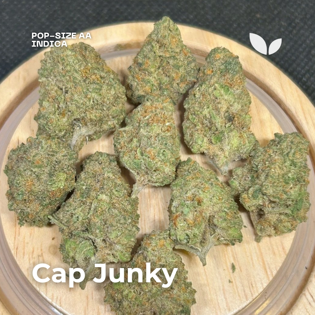 Cap-junky pop-size indica phuket Cap-junky pop-size indica phuket