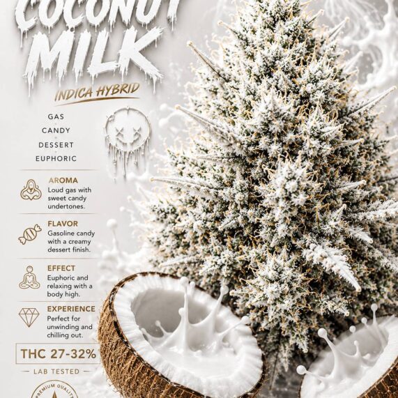 Coconut Milk weed delivery phuket indica potent