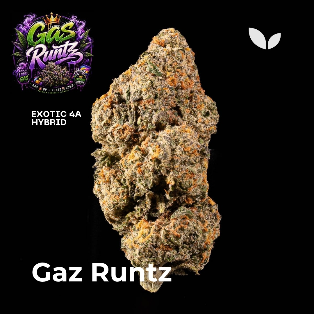 Gaz Runtz strain weed phuket 2 Gaz Runtz strain weed phuket 2