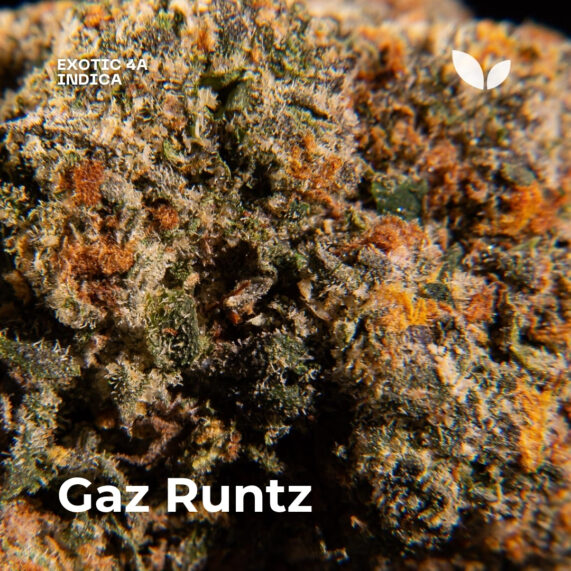 Gaz Runtz strain weed phuket delivery