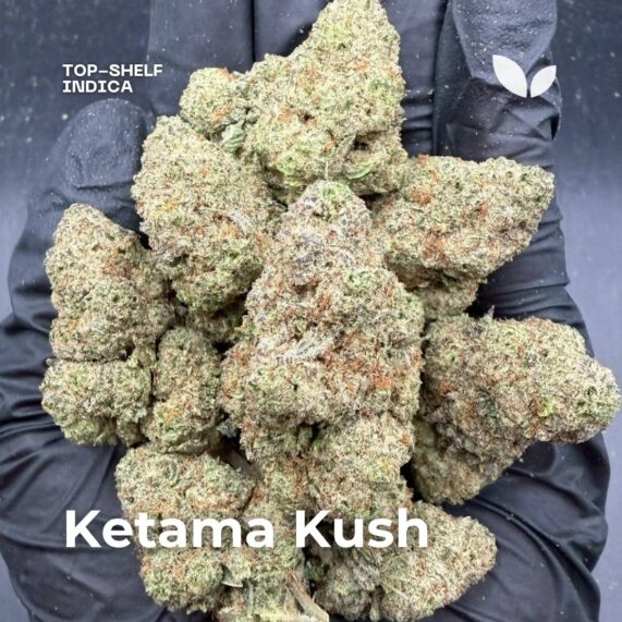 Ketama Kush 100% indica strain delivery phuket cannabis