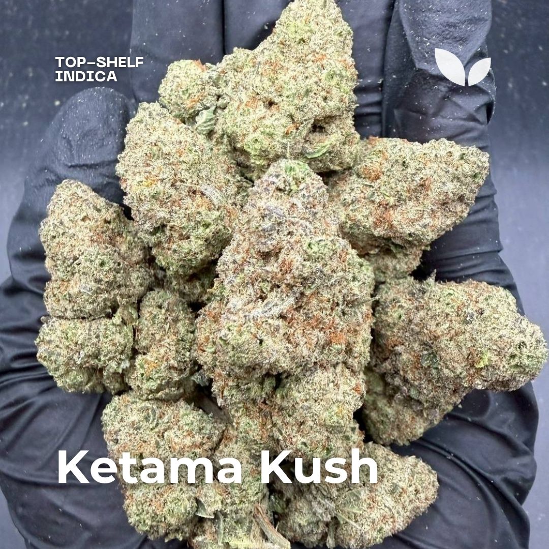 Ketama Kush 100% indica strain
