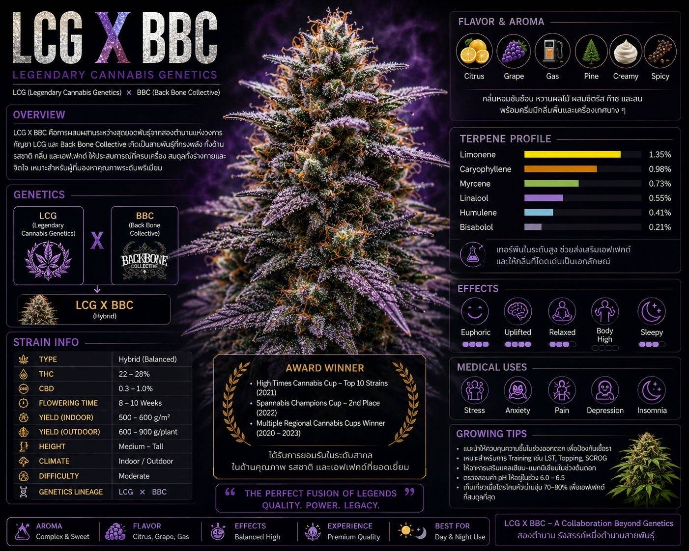 LCG x BBC cannabis delivery phuket LCG x BBC cannabis delivery phuket