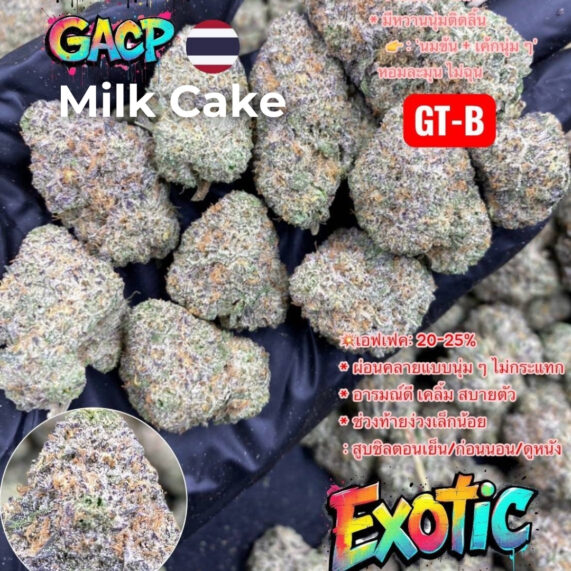 Milk Cake strain weed delivery phuket