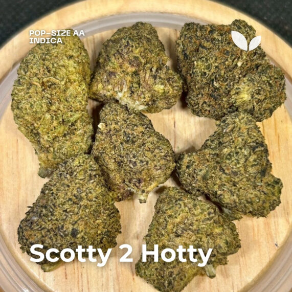 Scotty 2 hotty strain phuket delivery weed