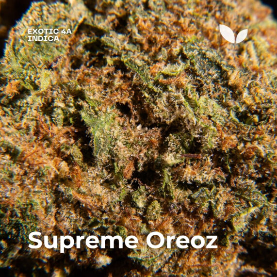 Supreme Oreoz strain phuket delivery, indica cannabis
