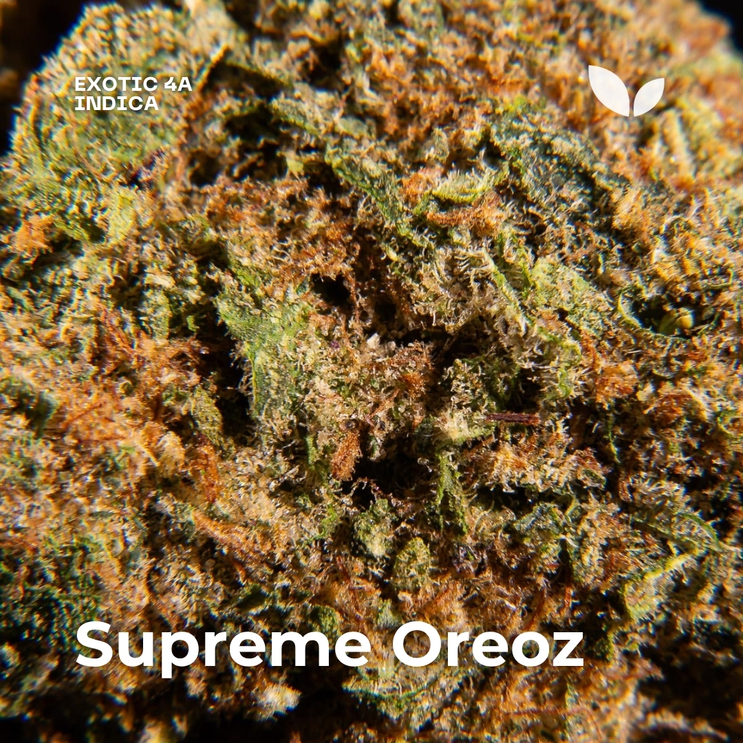 Supreme Oreoz strain phuket delivery 2