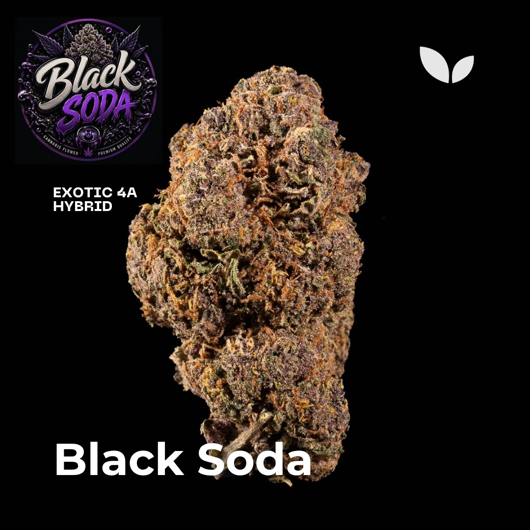 black soda strain