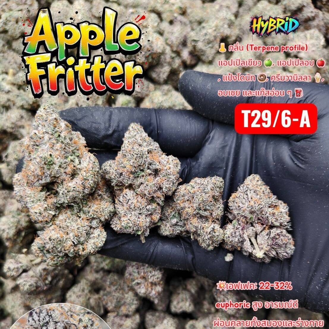 Apple Fritter weed strain Apple Fritter weed strain
