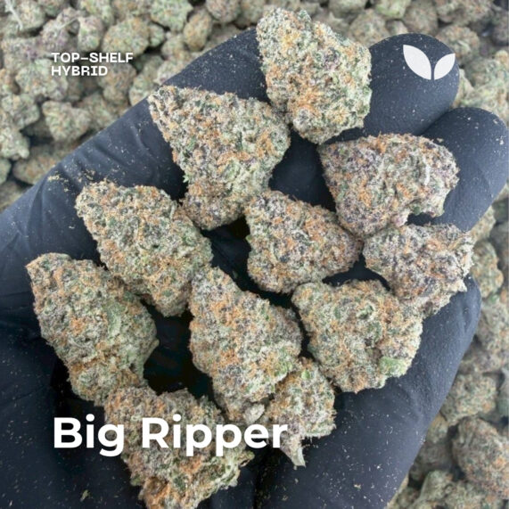 Big Ripper cannabis strain phuket delivery