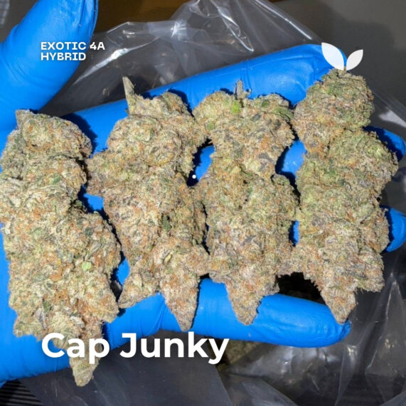 Cap Junky cannabis strain phuket delivery hybrid