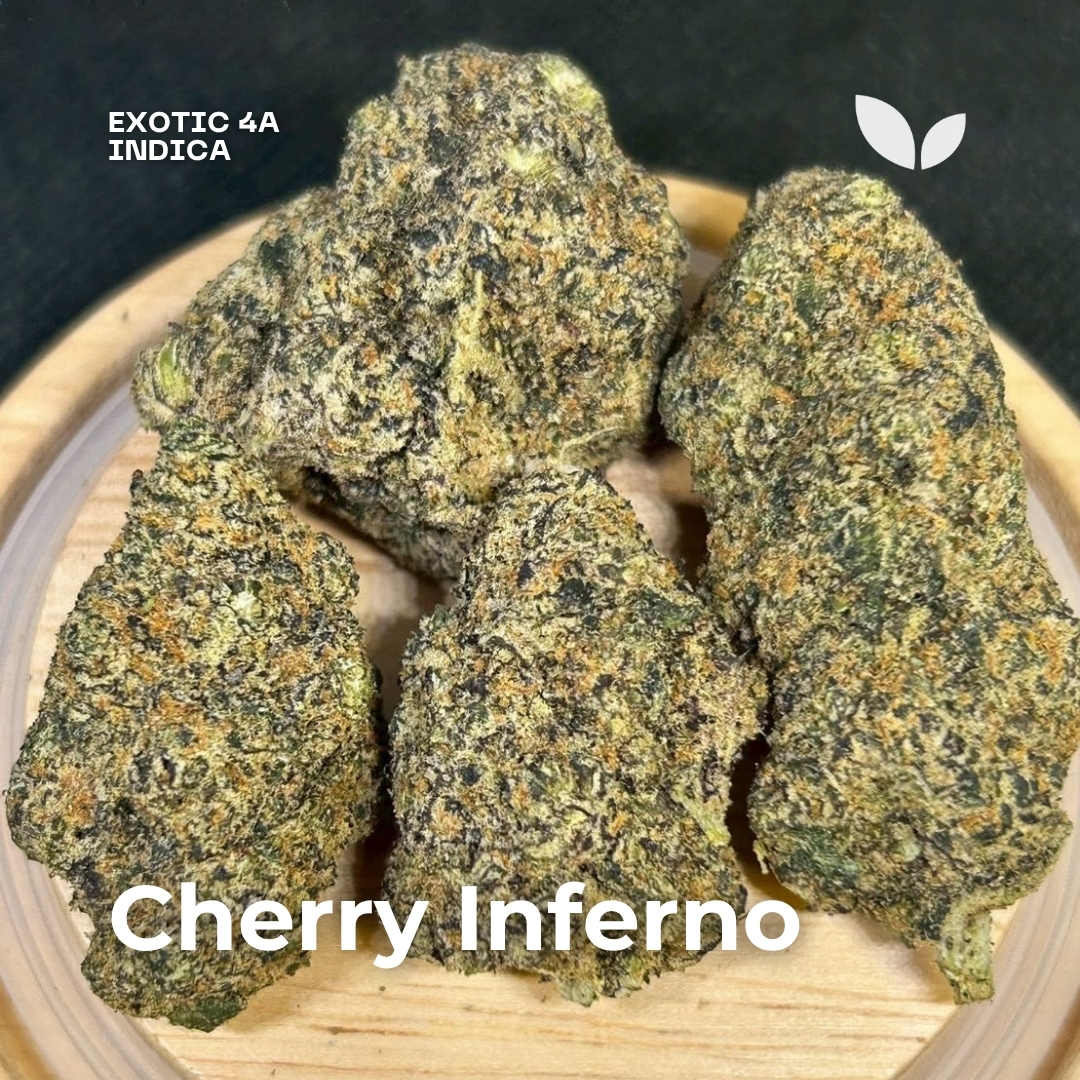 Cherry Inferno weed delivery phuket Cherry Inferno weed delivery phuket