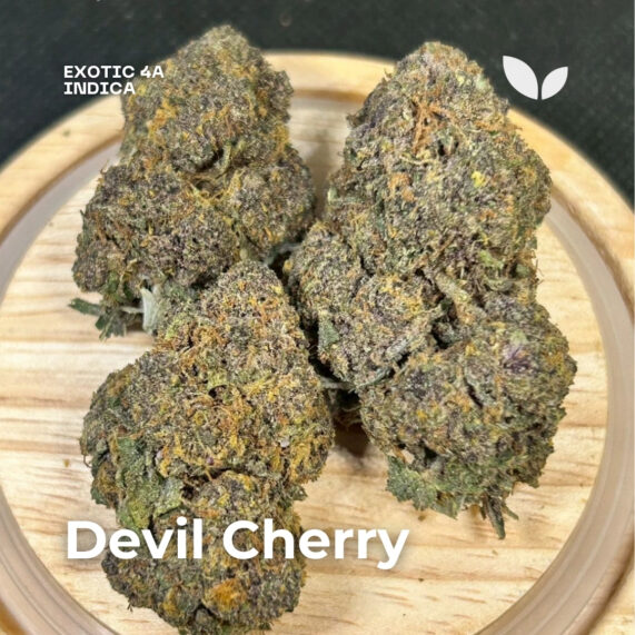 Devil Cherry weed phuket delivery indica