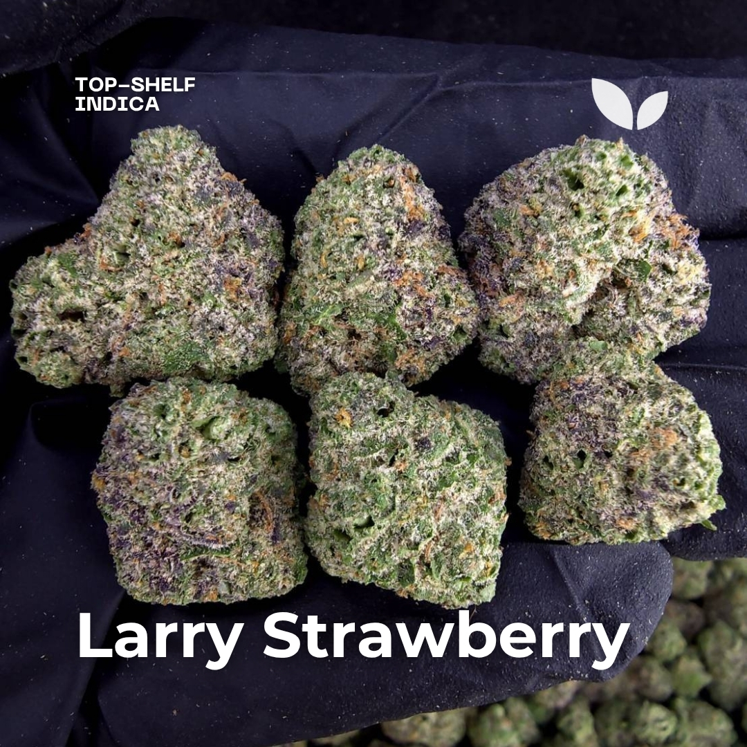 Larry Strawberry weed strain phuket