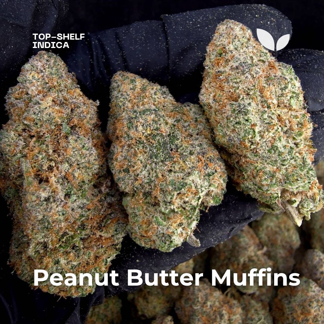 Peanut Butter Muffins strain
