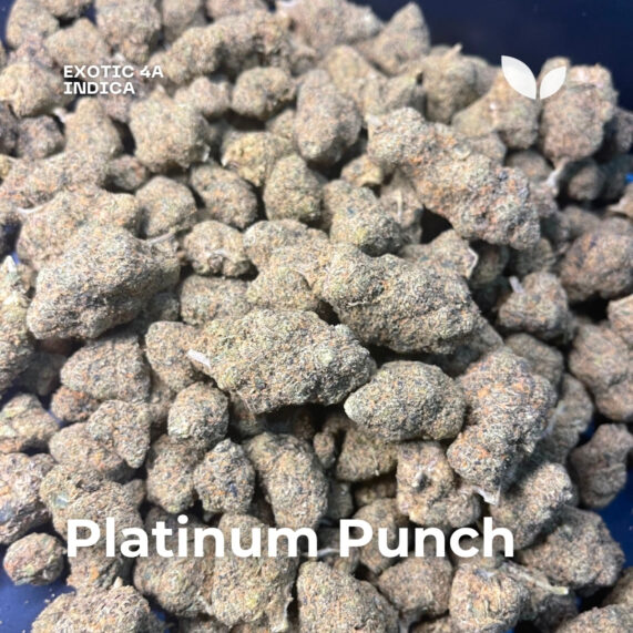 Platinum Punch weed strain phuket indica 2 delivery
