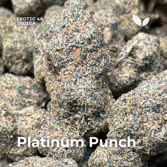 Platinum Punch weed strain phuket indica delivery