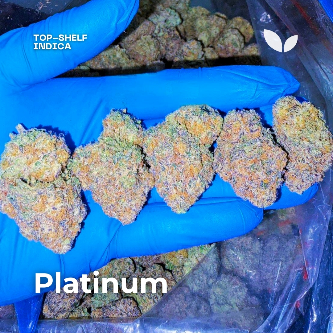 Platinum cannabis strain Platinum cannabis strain