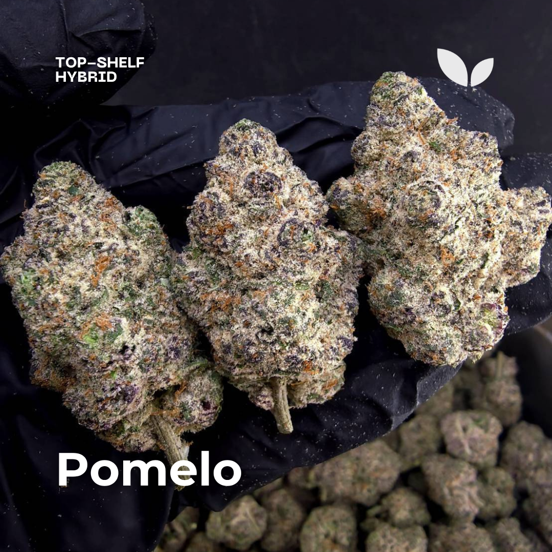 Pomelo cannabis strain Pomelo cannabis strain