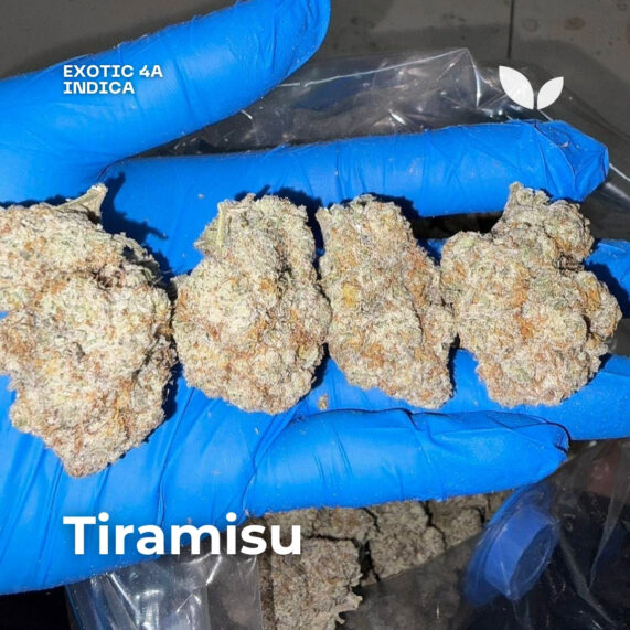 Tiramisu cannabis strain delivery phuket indica