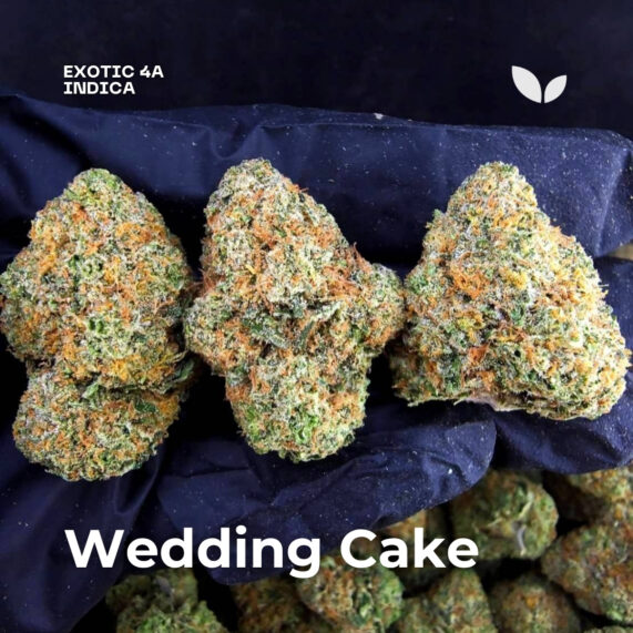 Wedding Cake weed strain phuket delivery indica