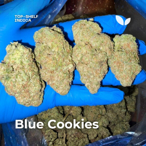 blue cookies strain phuket weed delivery