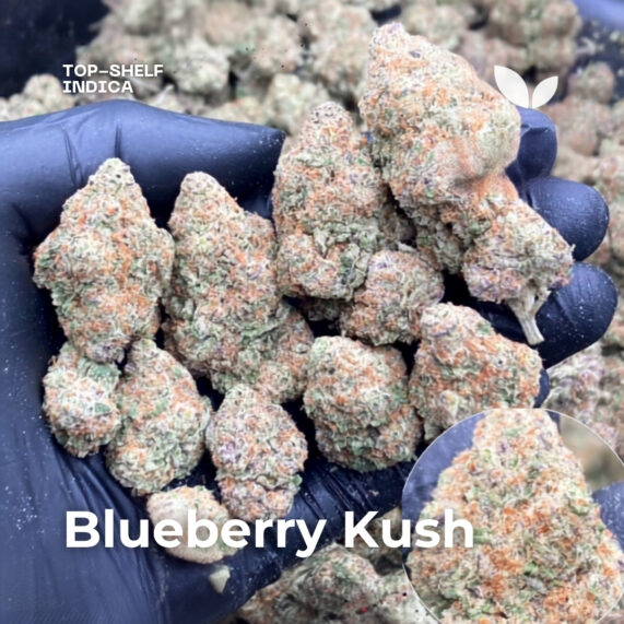 Blueberry Kush weed strain phuket delivery