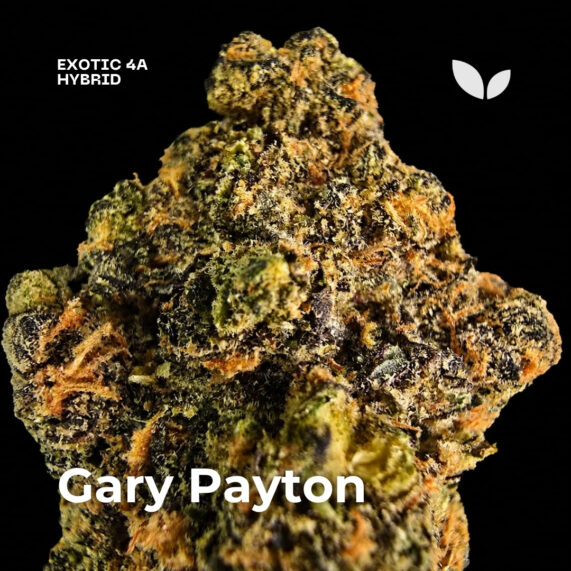 Gary Payton weed strain delivery phuket 3