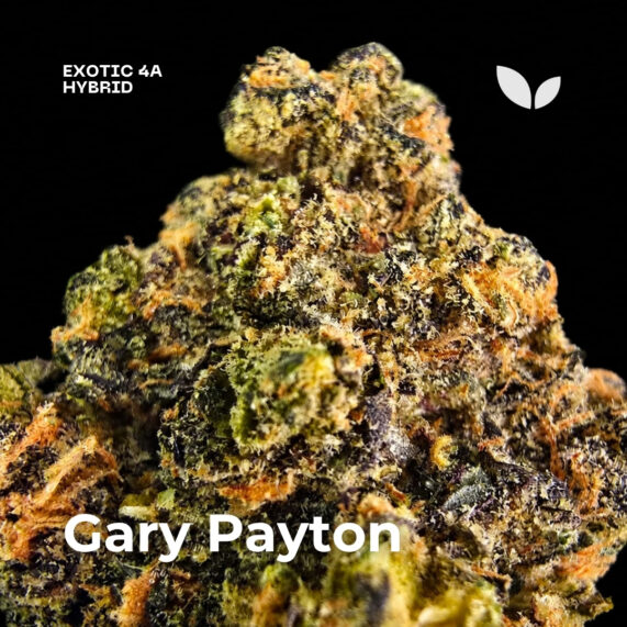 Gary Payton weed strain delivery phuket 2